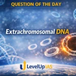 Question of the Day – Extrachromosomal DNA