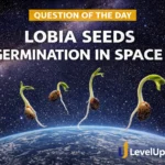 Question of the Day – LOBIA SEEDS GERMINATION IN SPACE