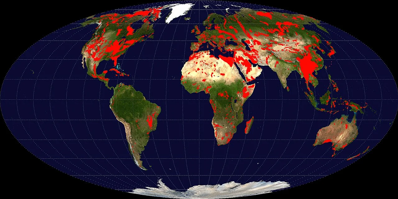 Global Distribution