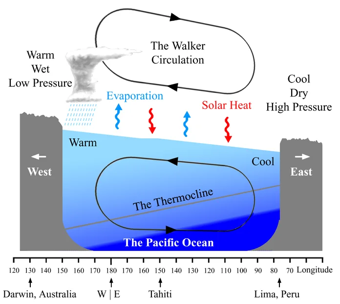La Niña Diagram