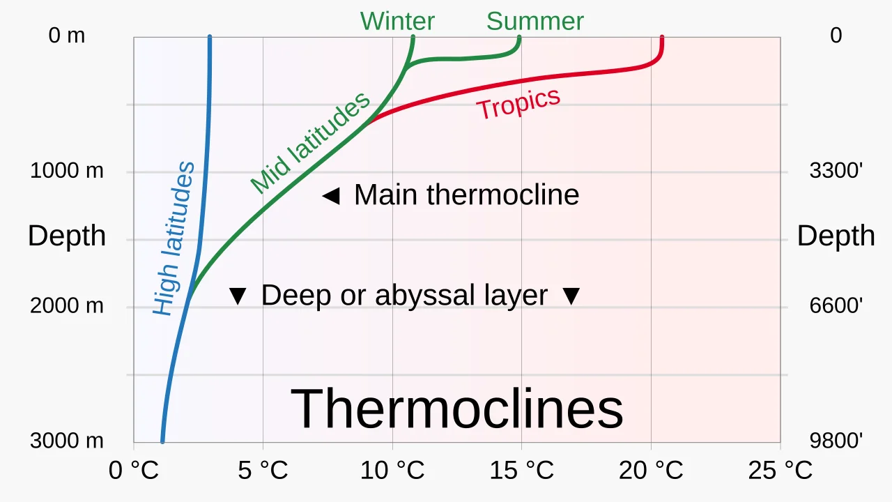 Vertical Distribution of Ocean Temperature
