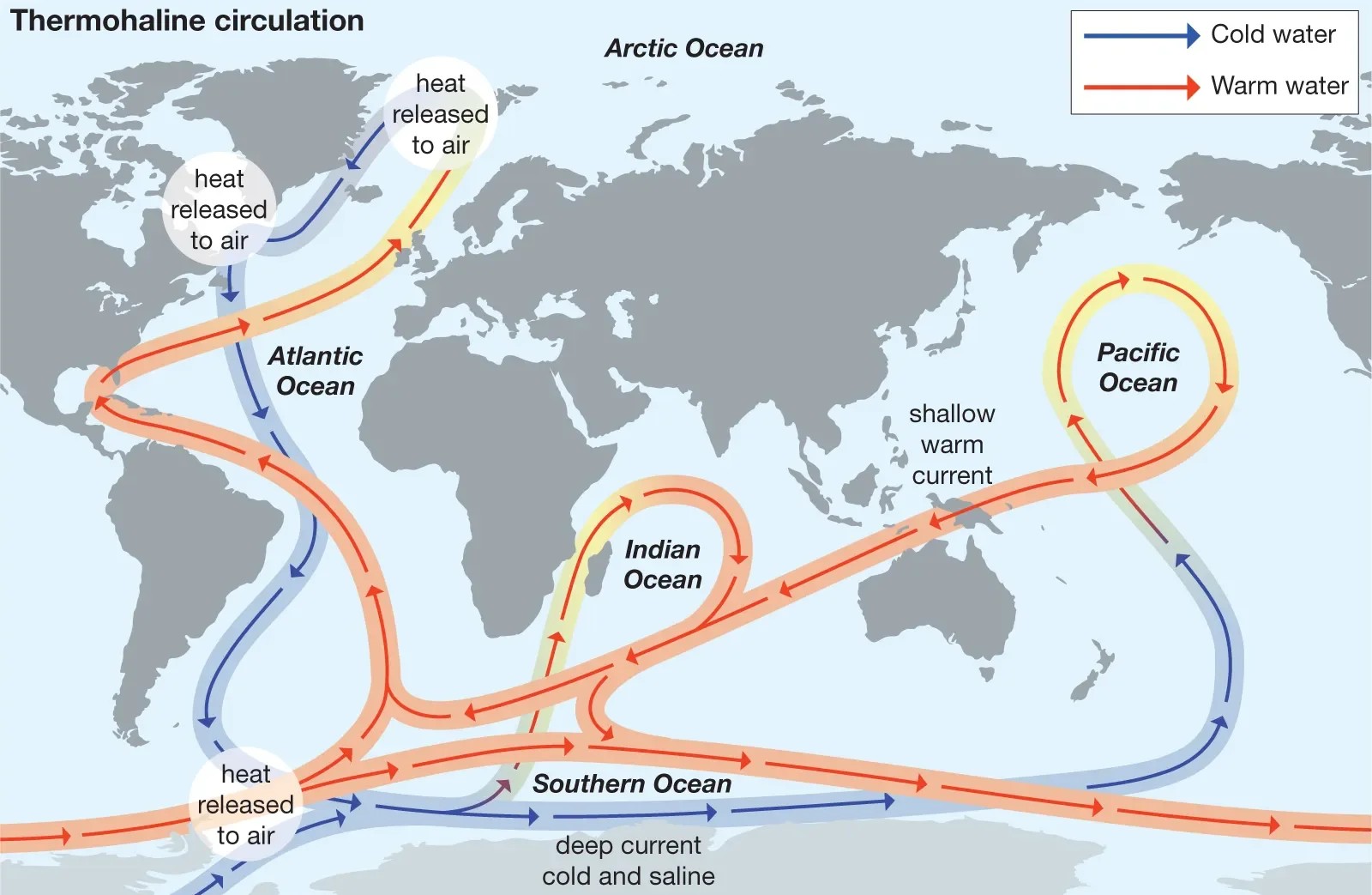 Thermohaline Circulation
