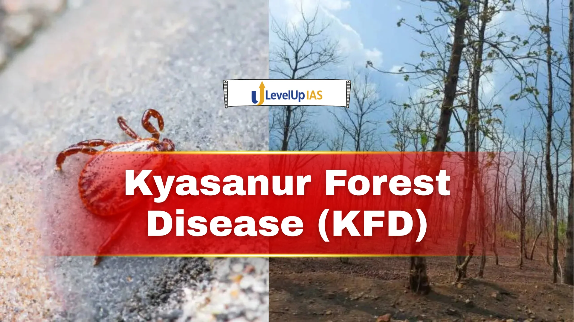 Kyasanur Forest Disease (KFD), The Monkey Fever