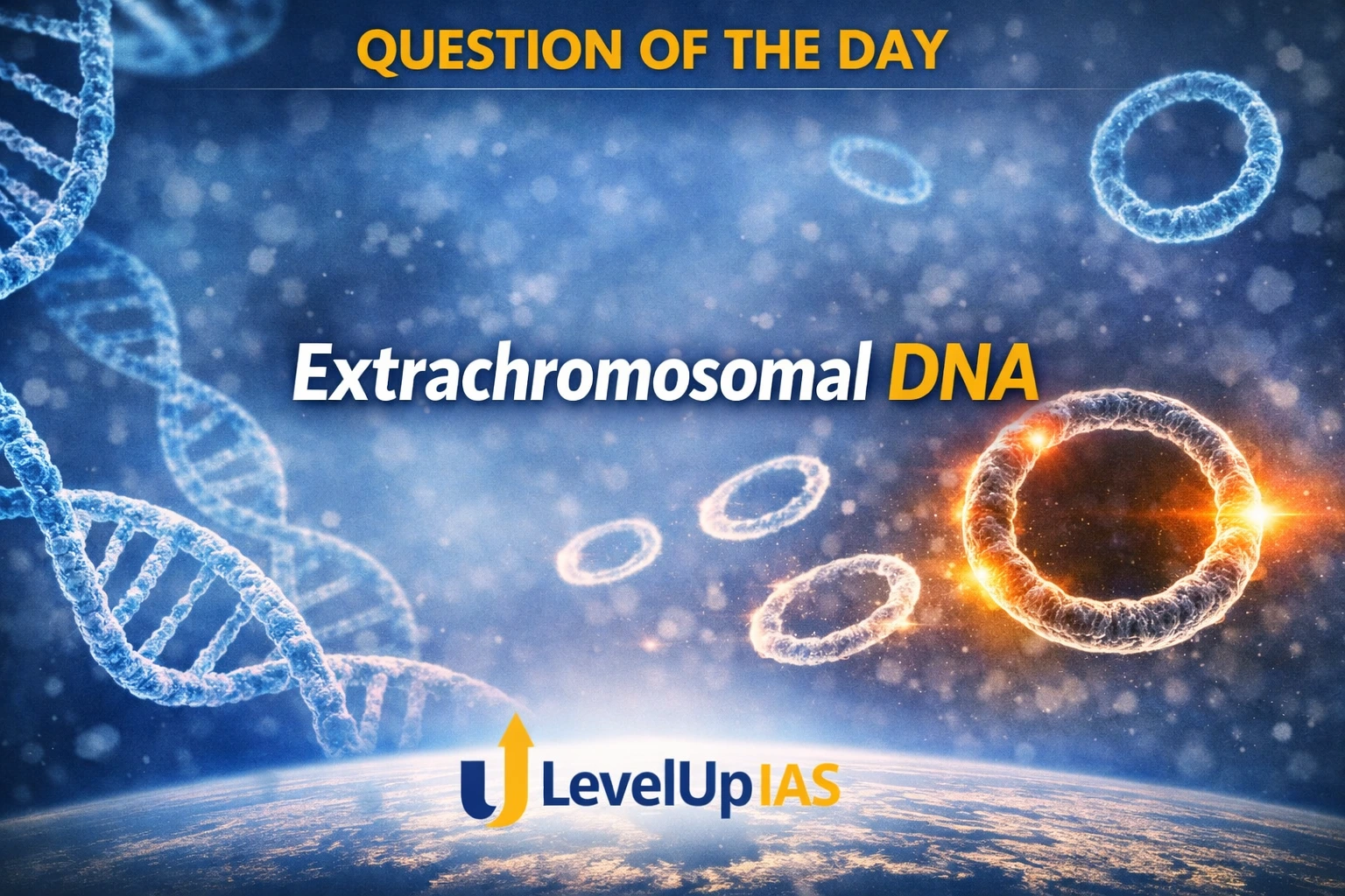 Question of the Day – Extrachromosomal DNA