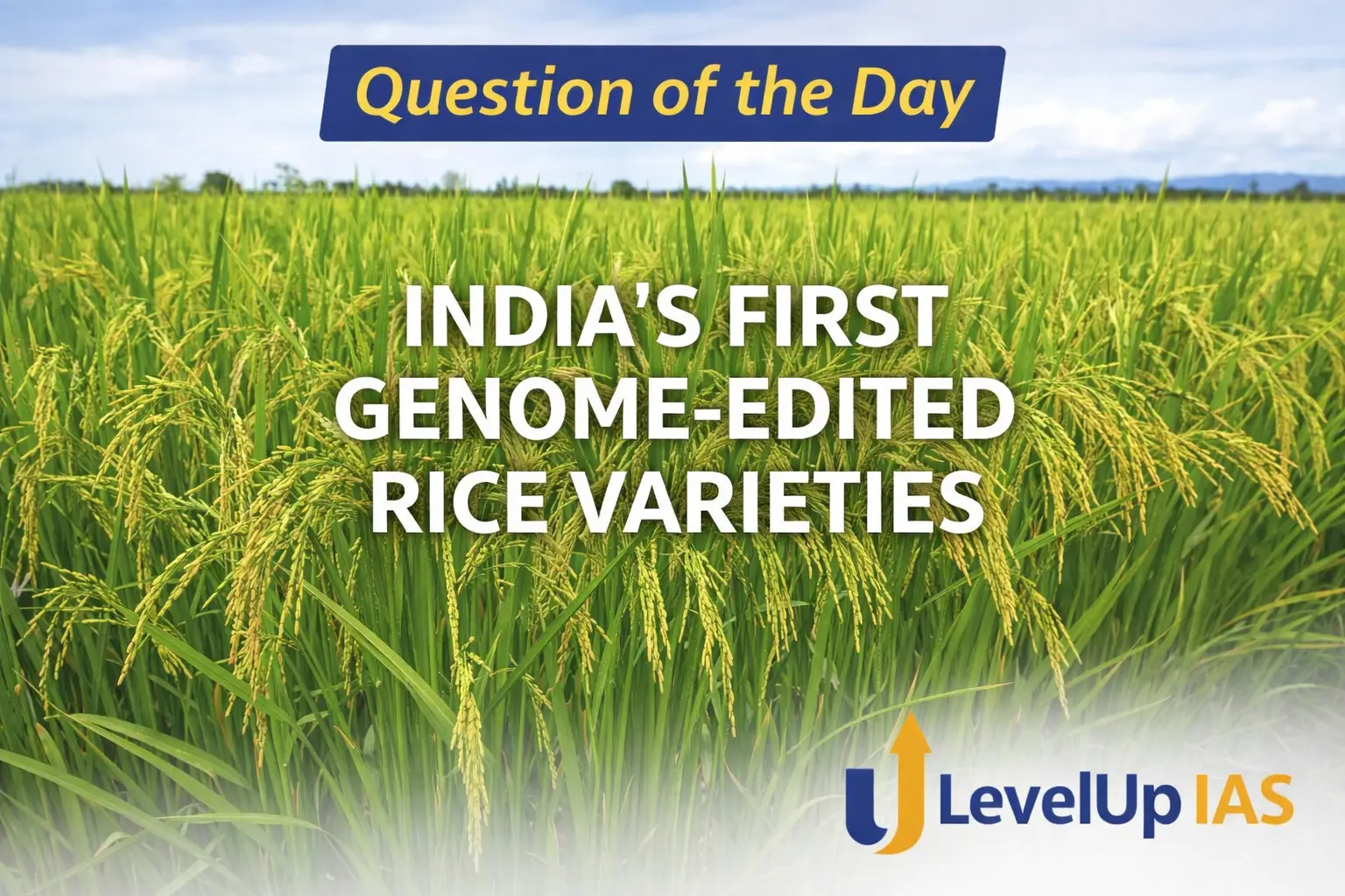 Question of the Day – INDIA’S FIRST GENOME-EDITED RICE VARIETIES