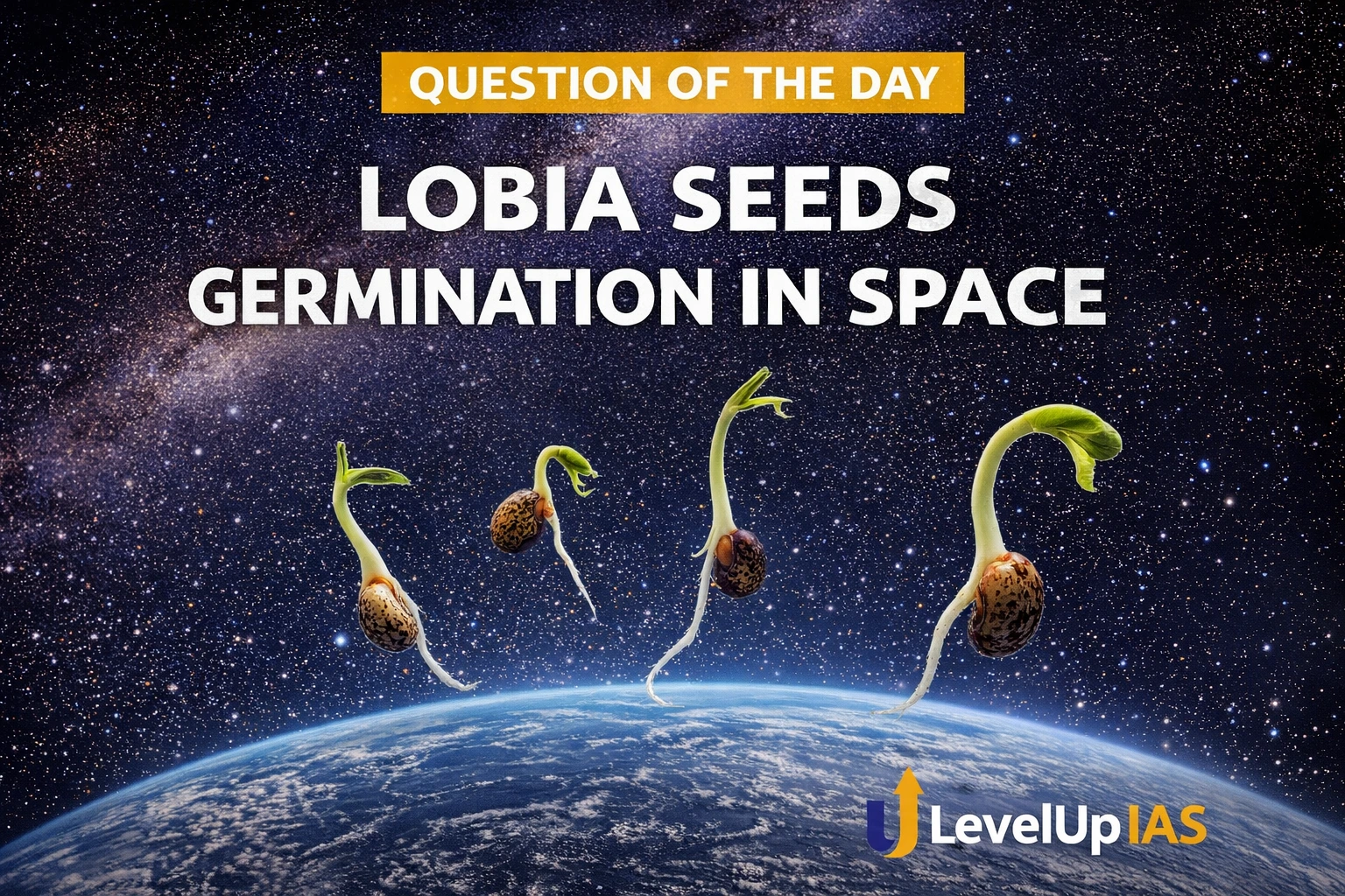 Question of the Day – LOBIA SEEDS GERMINATION IN SPACE