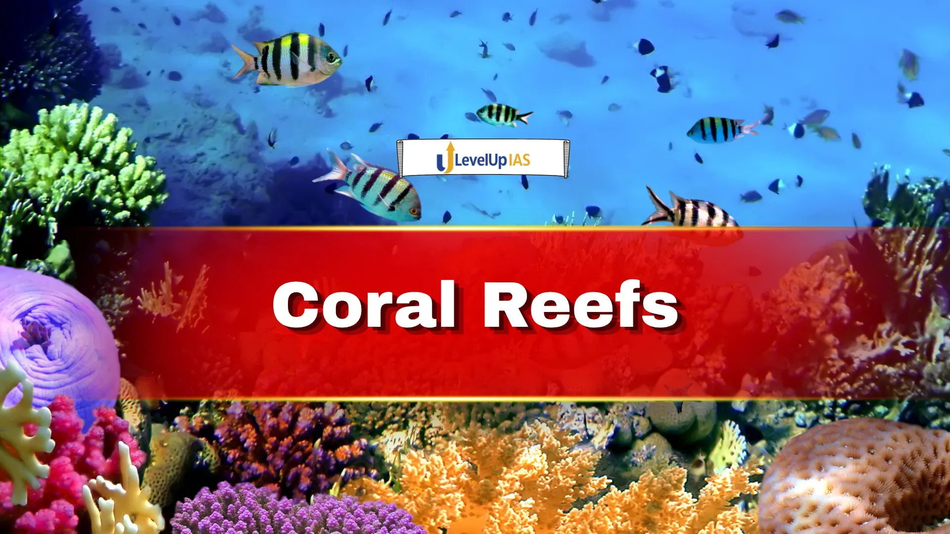 Coral Reefs