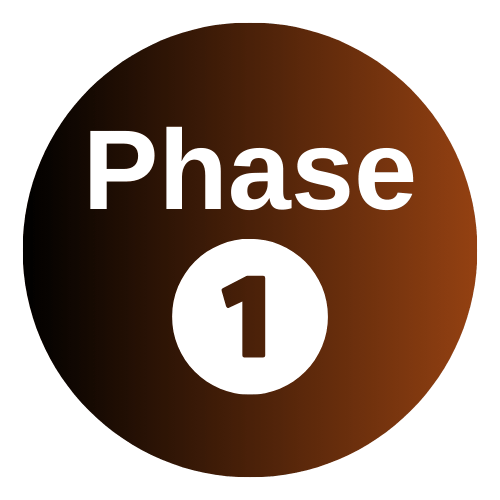 phase1.png