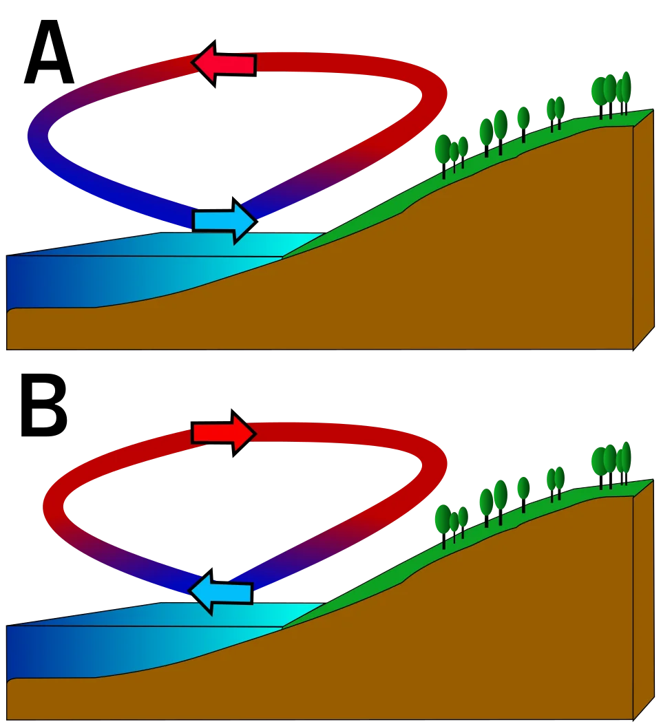 A. Sea Breeze, B. Land Breeze