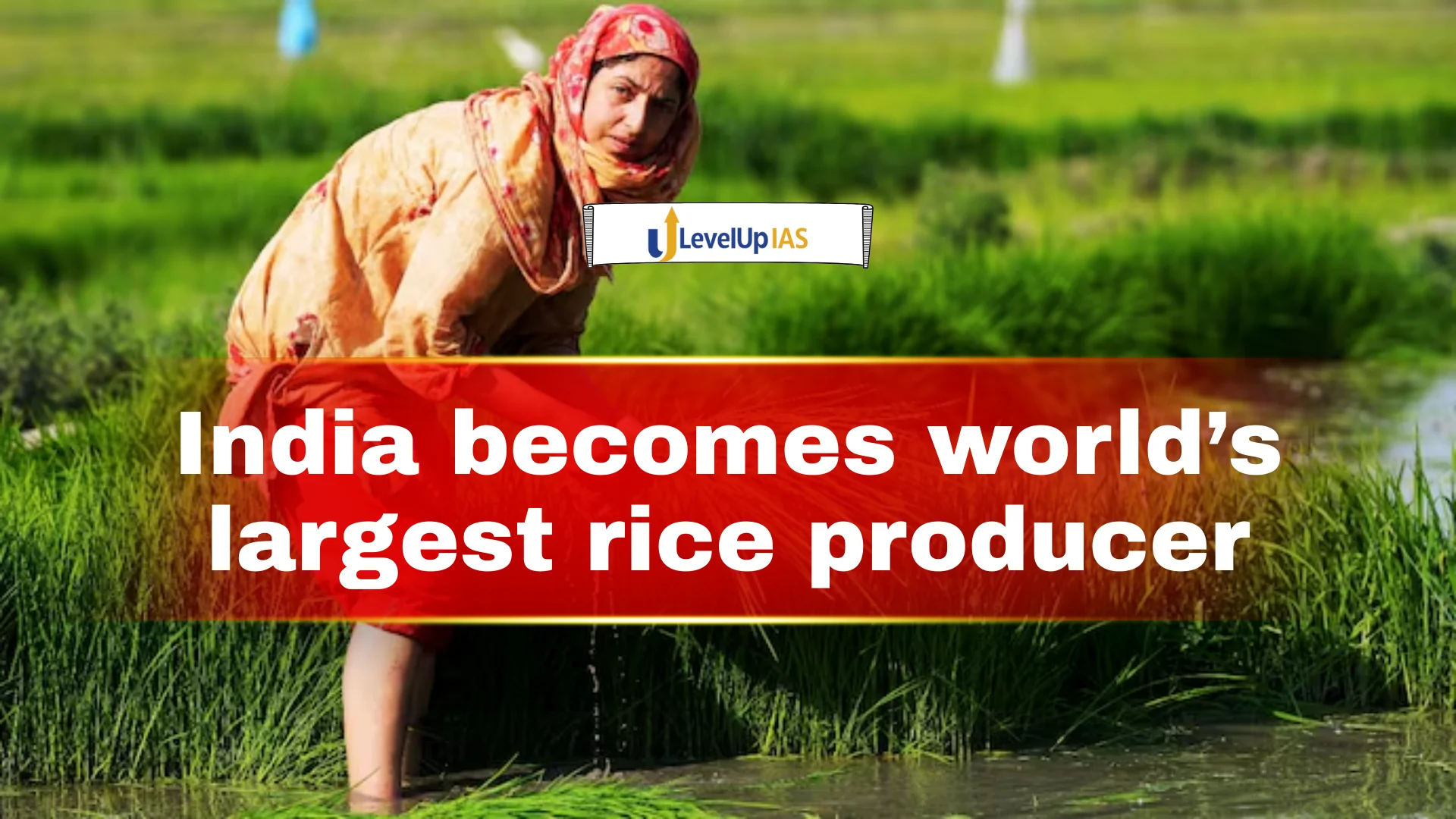 India becomes world’s largest rice producer | LevelUp IAS
